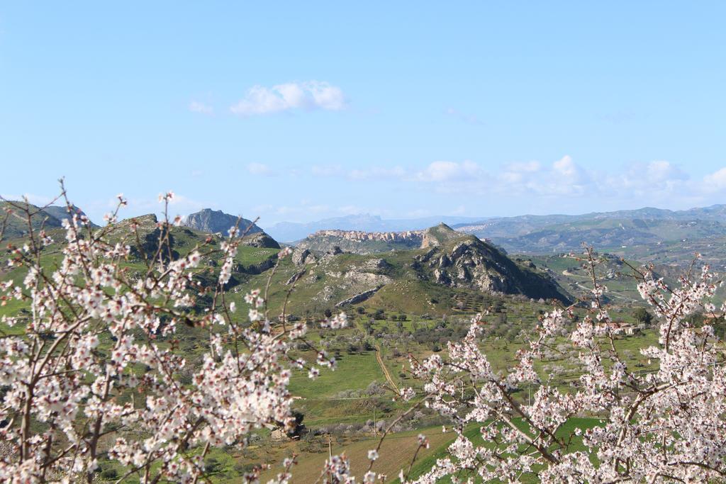 Agriturismo Feudo Muxarello Aragona المظهر الخارجي الصورة